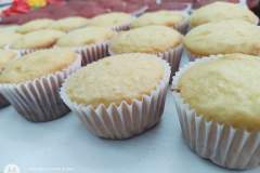 WhatsApp-Image-2022-02-16-at-11.29.11-PM-2