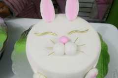 WhatsApp-Image-2022-02-16-at-11.26.17-PM-2