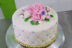 WhatsApp-Image-2022-02-16-at-11.26.17-PM