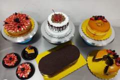 WhatsApp-Image-2022-02-16-at-9.26.11-PM